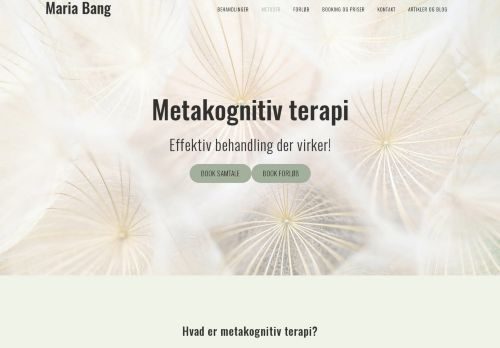 Screenshot af Metakognitiv terapi: Få kontrol over dine tanker