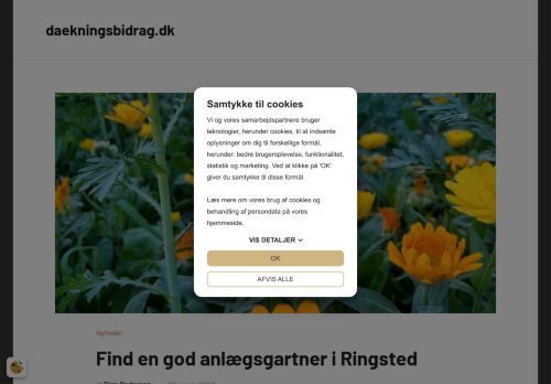 Forsiden af Dækningsbidrag