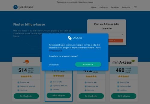 Screenshot af Tjek-akasser
