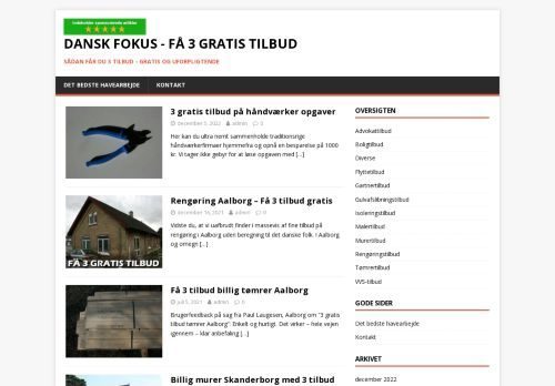 Forsiden af Danskfokus.dk