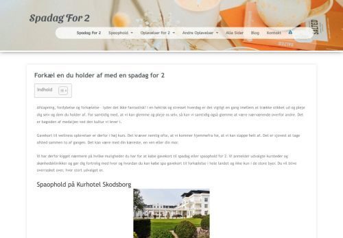 Forsiden af Spadag For 2