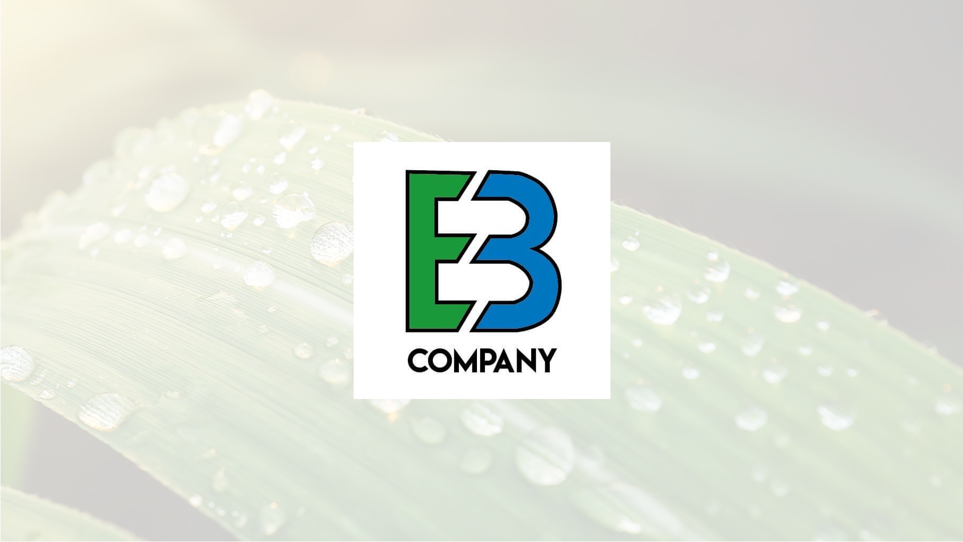 Forsiden af EB Company ApS