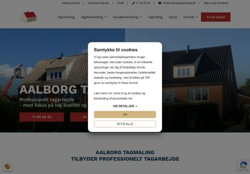 Screenshot af Aalborg Tagmaling